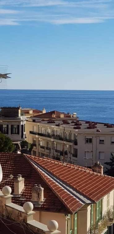 La Riviere du les jarden de Elisa