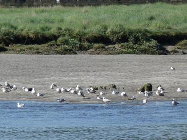 Les Gites de Kerdurod