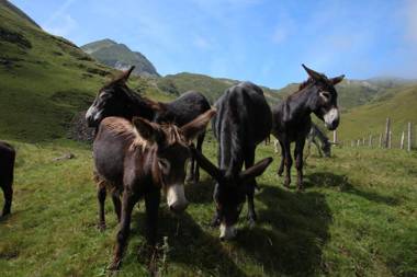 Hostellerie de La Poste