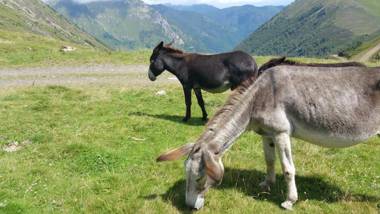 Hostellerie de La Poste