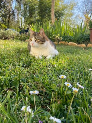 Aux Couleurs d'Esteil