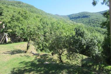 Maison Au Milieu De La Foret