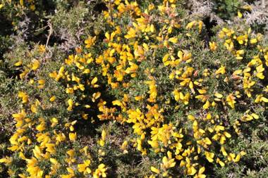 Auberge l'Air de Vent