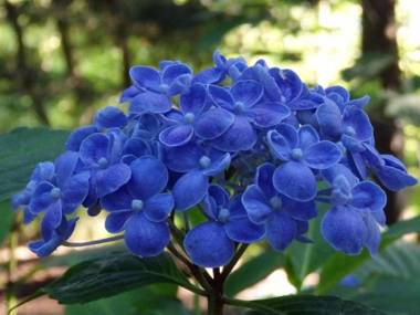 Gîte La Garnache 2 pièces 2 personnes - FR-1-426-140