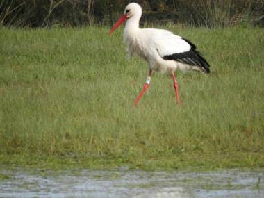 Gîte La Garnache 2 pièces 2 personnes - FR-1-426-140