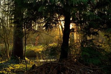 La Maison de l'Omignon