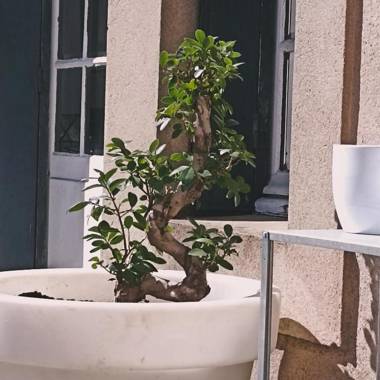 La Grande Maison Mazamet