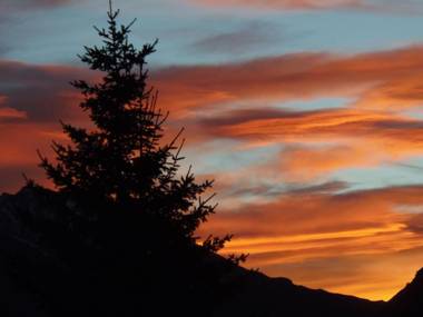 Chalet l'aubépine résidence B&B