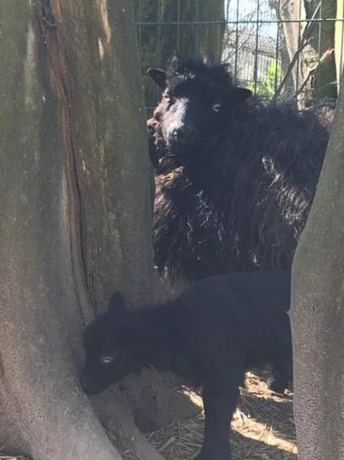 camping de warincthun