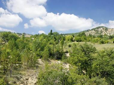 Les Maisons De Chante Oiseau
