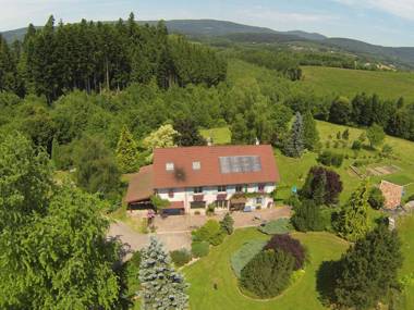 Gîte Provenchères-sur-Fave 3 pièces 4 personnes - FR-1-589-224