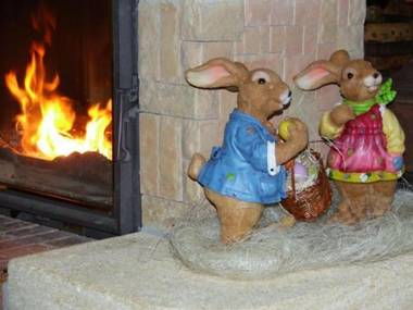 Gîte Provenchères-sur-Fave 3 pièces 4 personnes - FR-1-589-224