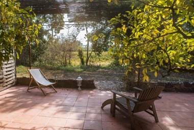 Domaine de la Marseillaise