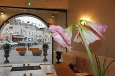 Hôtel le Cheval Blanc & sa piscine