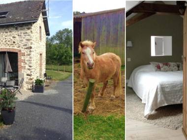 Gîte Montsûrs 3 pièces 4 personnes - FR-1-600-67