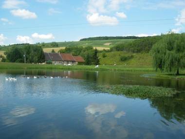 Domaine du Moulin de l'Etang
