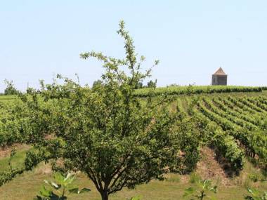 Gîte Saussignac 7 pièces 13 personnes - FR-1-616-128
