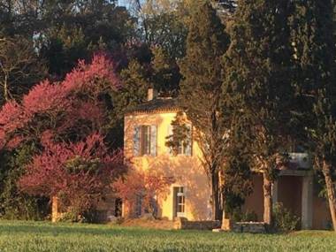 Gîtes Pech-Céleyran