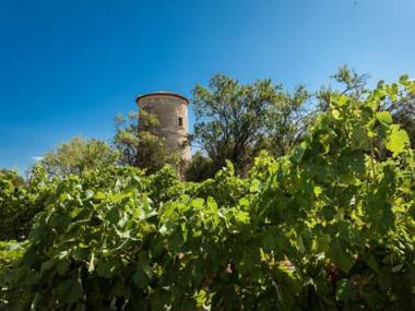 Gîtes Pech-Céleyran