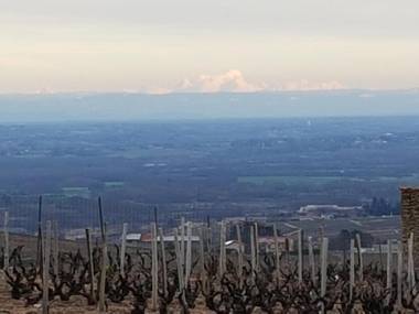 La roulotte de Chiroubles