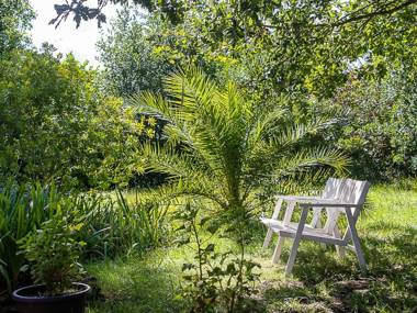 Au détour des vignes