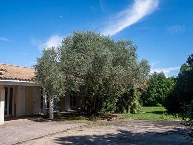 Au détour des vignes