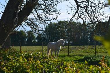 La Ferme du Bois Quesnoy