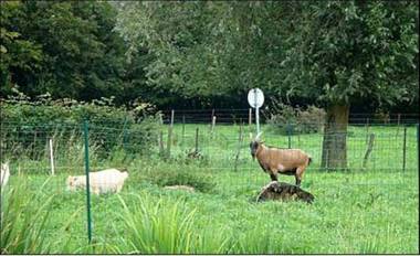 Chambres d'hôtes La Ferme du Scardon