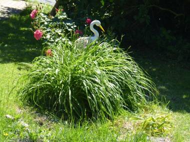 Gîte de Charme Les Petits Matins Bleus
