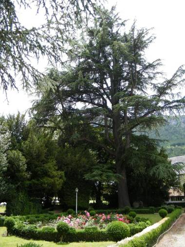 Grand Hôtel du Parc