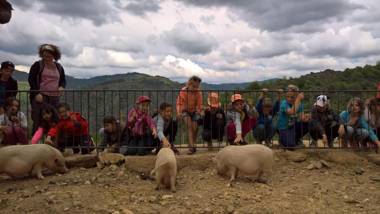 La ferme des Cévennes