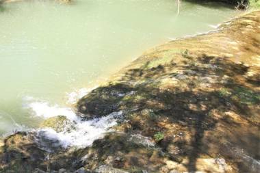 Ferme Equestre Les Coccinelles