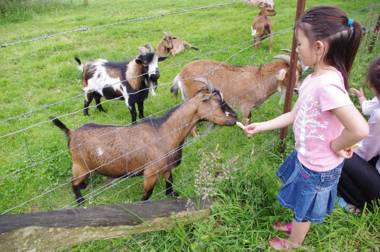 Camping Le Val de Trie
