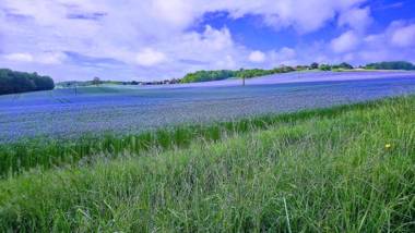 Maison d hôtes Casa Sana