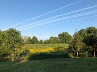 Le Domaine de l'Ô - Lofts Contemporain au Coeur du Perigord