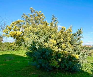 Comme une évidence maison d'hotes