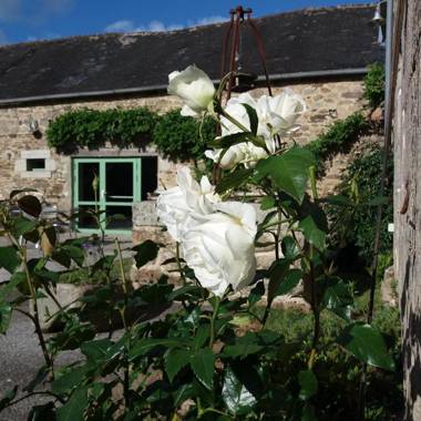 Le Domaine de Kerlys