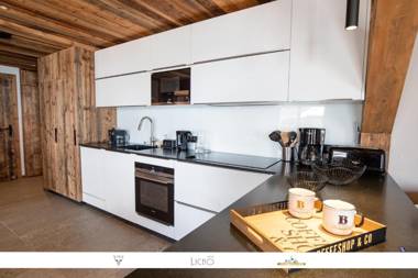 Marmotte 205 - Splendide duplex aux pieds des pistes