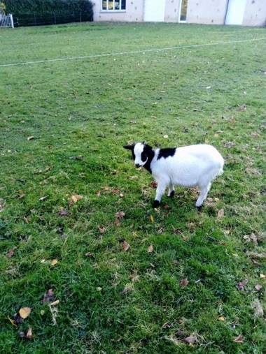 7  le Haut Montrayé