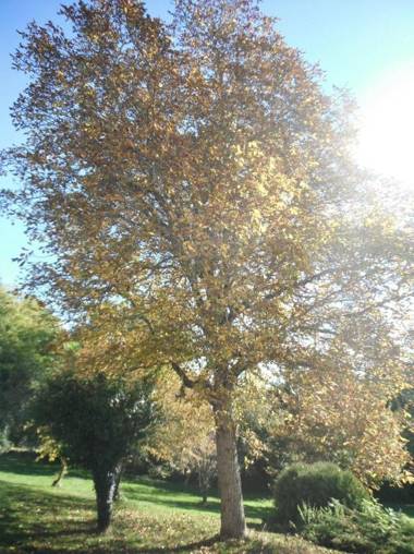 Hotel Restaurant de la Poste