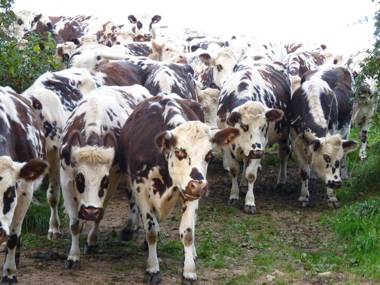 Gite de la Huberderie