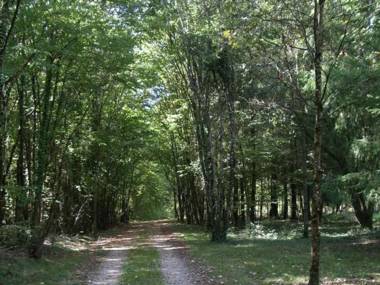 Gîte Souvigny-de-Touraine 3 pièces 6 personnes - FR-1-381-457