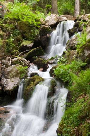 Hotel Restaurant Auberge Metzger