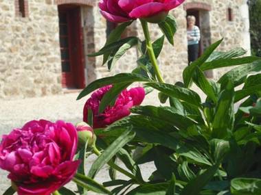 Gîte Saint-Michel-Mont-Mercure 3 pièces 4 personnes - FR-1-426-249