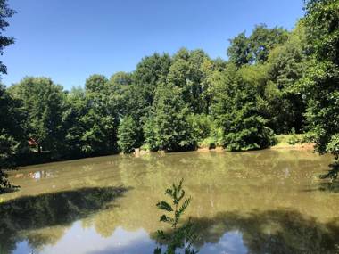 Château de la Mothe