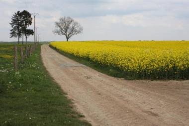 La Grange de Boulaines