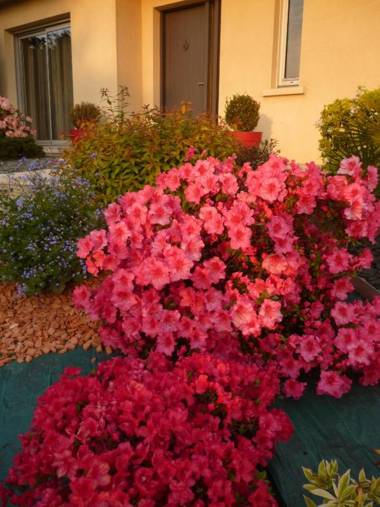 Chez Bernard et Nicole