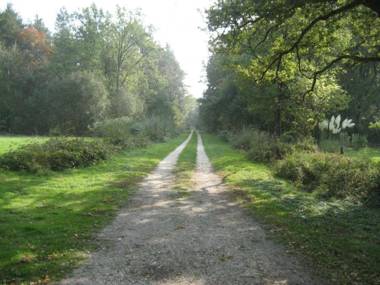 Gîte Saint-Viâtre 2 pièces 2 personnes - FR-1-491-271