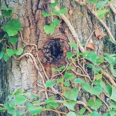 Demeure de la Garenne