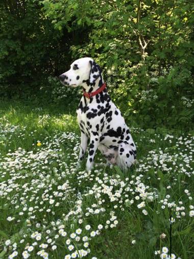 Chateau De La Goujonnerie